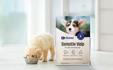En gullig valp som äter hundmaten Sensitiv Valp från FirstVet