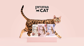 primacat logotyp