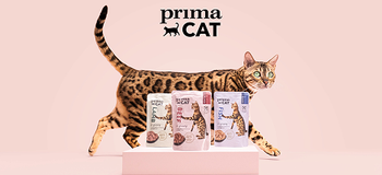 primacat logotyp