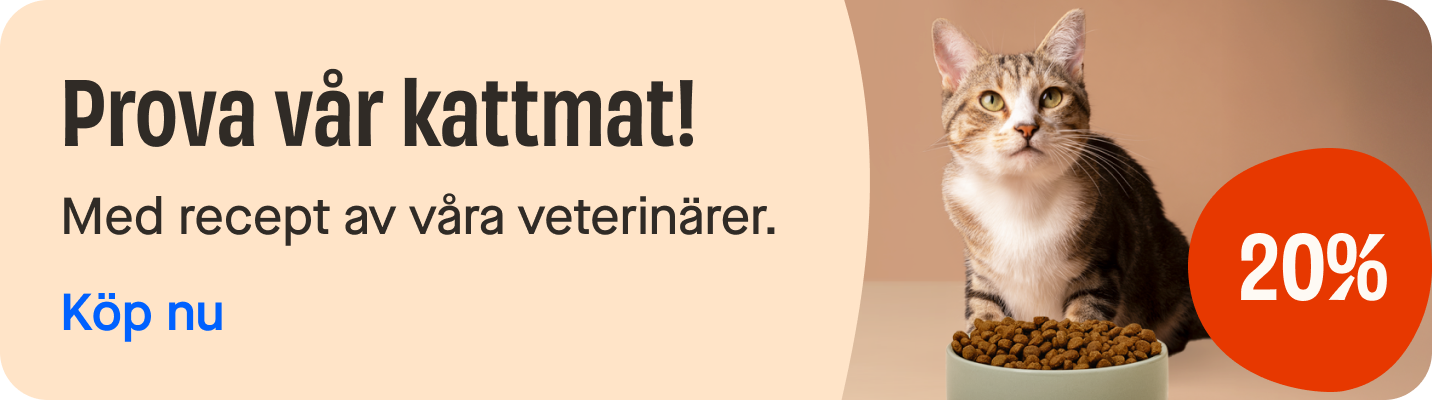 Release of cat food category page