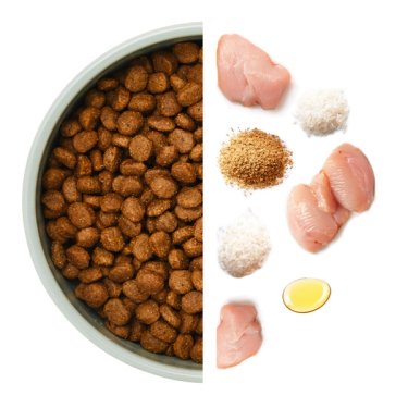 Skål med torrfoder till vänster och råvaror till höger, inklusive kyckling och ris.