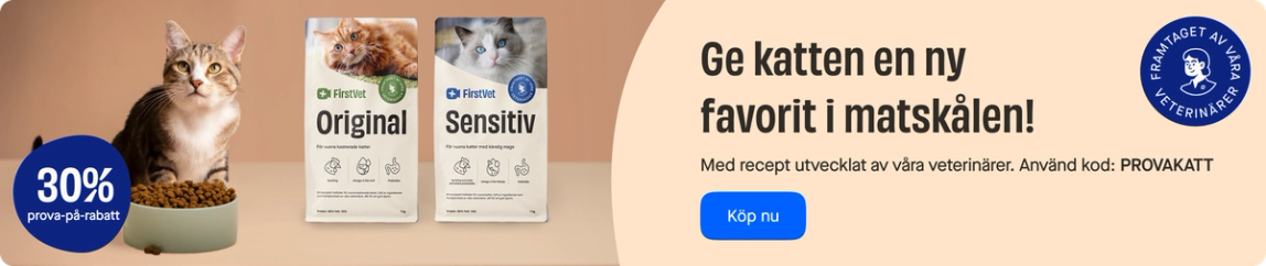 Release of cat food category page