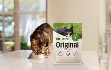 Gullig katt som äter FirstVet Original Lamm