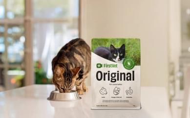 Gullig katt som äter FirstVet Original Lamm
