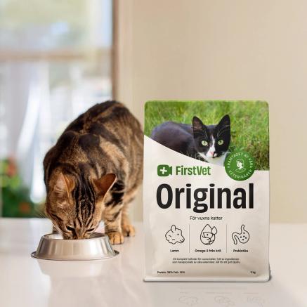 Gullig katt som äter FirstVet Original Lamm