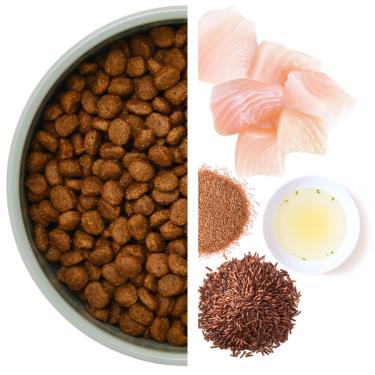 Skål med torrfoder till vänster och råvaror till höger, inklusive vit fisk och brunt ris. 