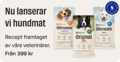 Firstvet menu banner