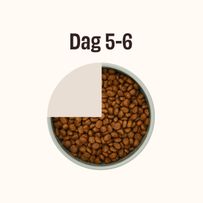 Diagram som visar en skål med hundfoder fylld till tre fjärdedelar, markerad som Dag 5–6.