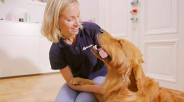 Kvinna i blå skjorta med företagslogotyp som ler och håller en glad golden retriever i ett ljust rum.