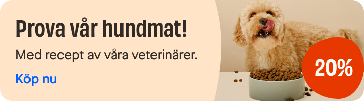 Release of new dog food category page