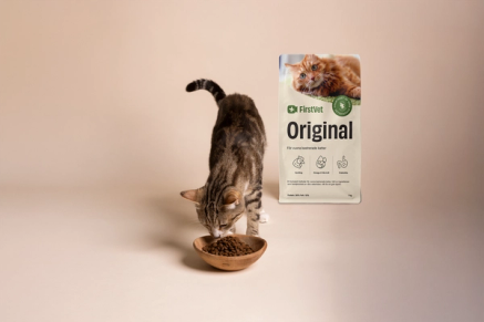 Katt som äter mat ur foderskål. FirstVet Original kattfoder påse i bakgrunden. 