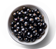 Skål med svarta vinbär