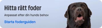 Release of food guide DOG product page