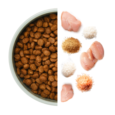 Skål med torrfoder till vänster och råvaror till höger, inklusive kyckling och ris.