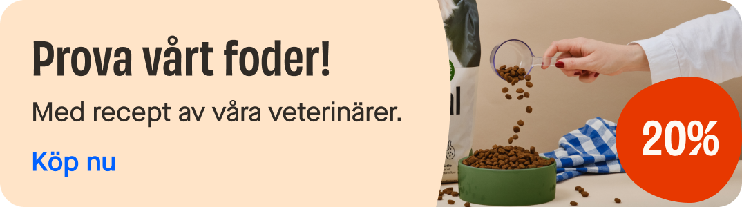 Release of dog food campaign page