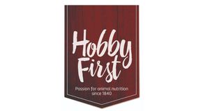 hobby first logotyp
