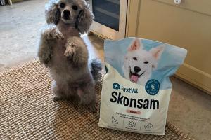 Hunden Trassla