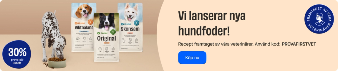 Release of new dog food category page