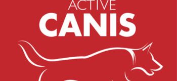 active canis logotyp