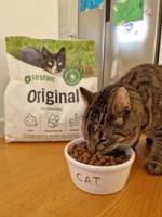 Katten Sune äter mat från FirstVet som heter Original Lamm