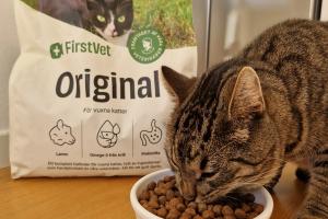Katten Sune äter mat från FirstVet som heter Original Lamm