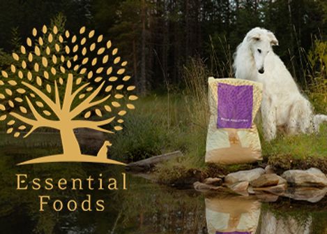 Bild på en katt på en äng med en fodersäck från Essential Foods