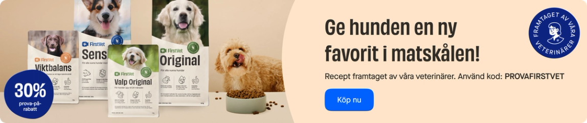 Release of new dog food category page