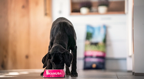 eukanuba logotyp