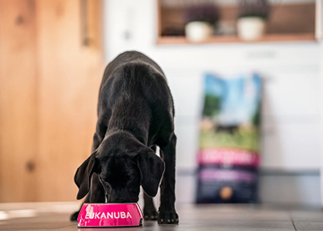 eukanuba logotyp