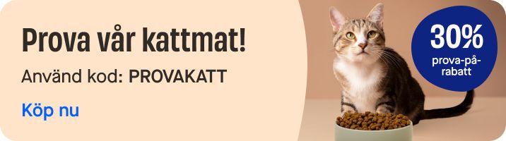 Release of cat food category page