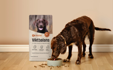 En hund som äter ur en skål med Firstvet Viktbalans