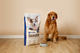 Dog and food bag