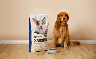 Dog and food bag