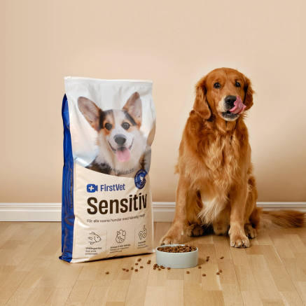 Dog and food bag