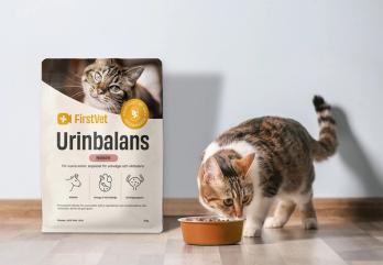 En vit- och brunfläckig katt som äter ur en matskål. En påse FirstVet Urinbalans står bredvid matskålen. 