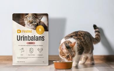En vit- och brunfläckig katt som äter ur en matskål. En påse FirstVet Urinbalans står bredvid matskålen.