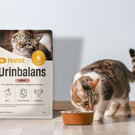 En vit- och brunfläckig katt som äter ur en matskål. En påse FirstVet Urinbalans står bredvid matskålen.