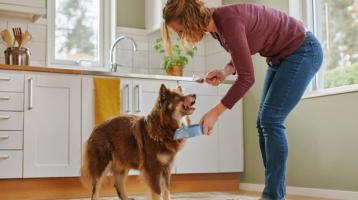 En kvinna fyller en skål med FirstVet Original hundfoder åt en hund i ett kök. Hunden står bredvid och ser på förväntansfullt.