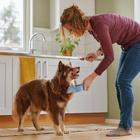 En kvinna fyller en skål med FirstVet Original hundfoder åt en hund i ett kök. Hunden står bredvid och ser på förväntansfullt.