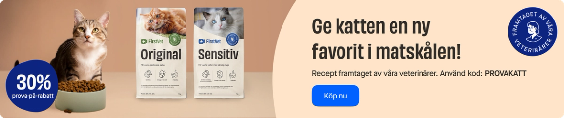 Release of cat food category page