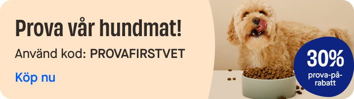 Release of new dog food category page