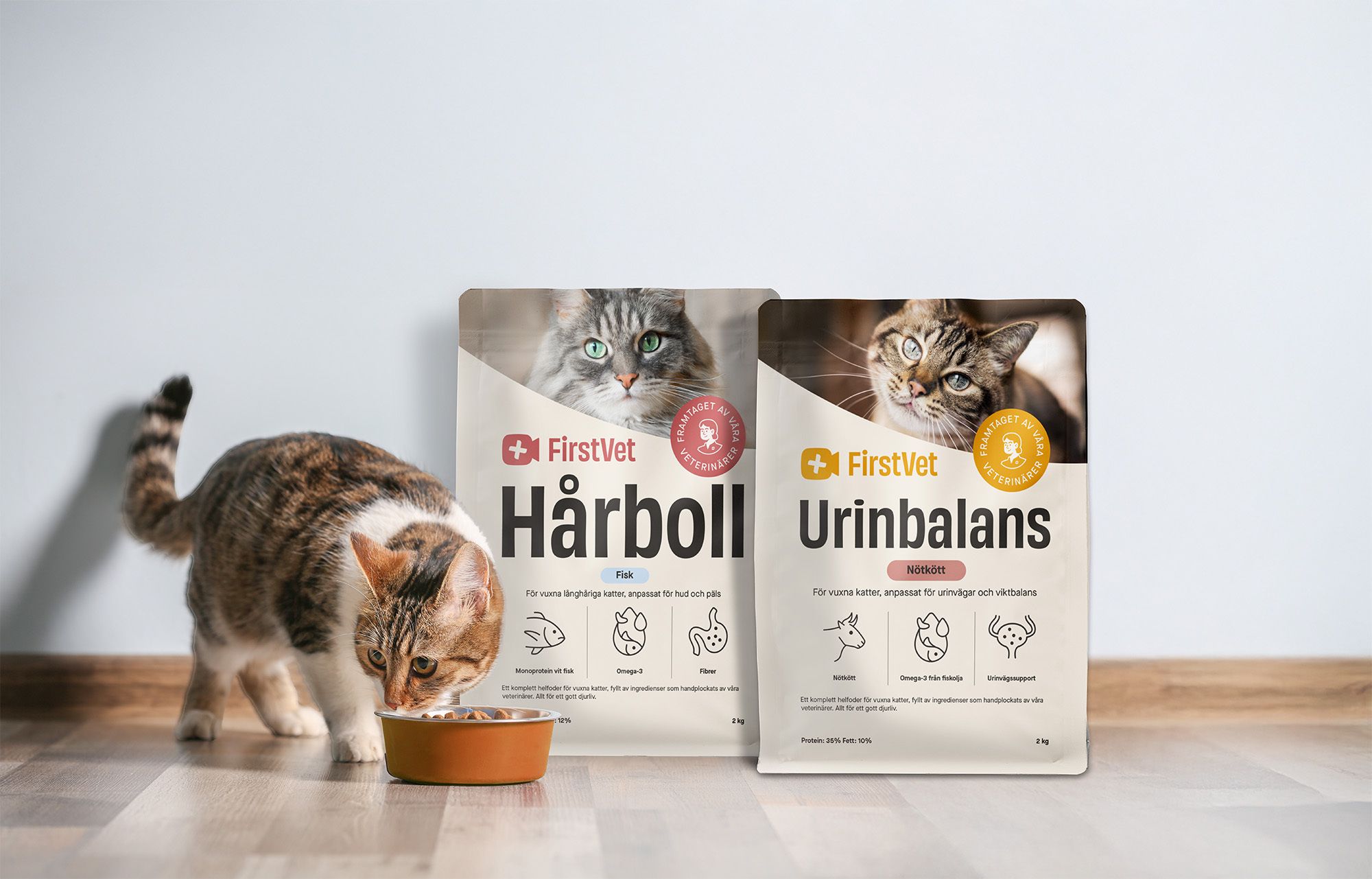 Bild på en katt med två fodersäckar i bakgrunden. 