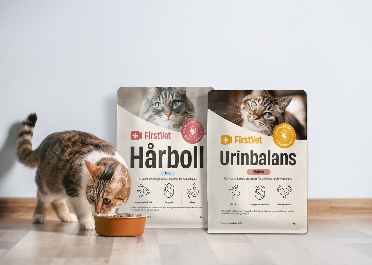 Bild på en katt med två fodersäckar i bakgrunden.