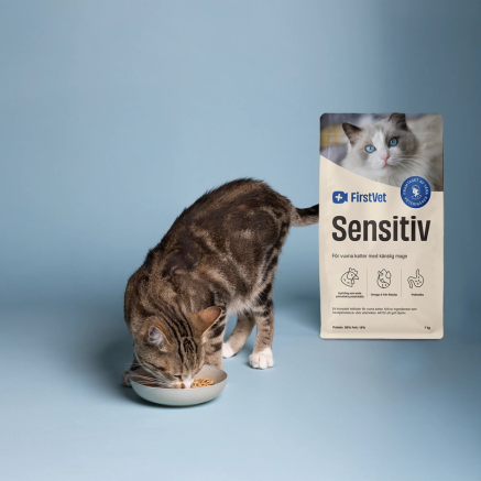 En brunfläckig katt som äter mat ur en matskål. Snett bakom står en påse kattmat av FirstVet Sensitiv.