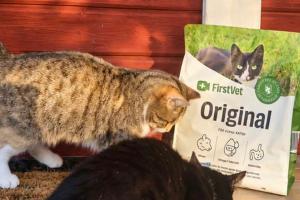 Signe och Mysis undersöker nyfiken foderpåsen med Original Lamm från FirstVet