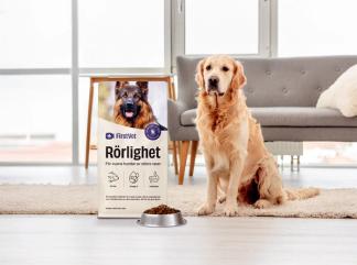 En golden retriever bredvid en påse av hundmaten "Rörlighet" från FirstVet 
