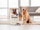 En golden retriever bredvid en påse av hundmaten "Rörlighet" från FirstVet 