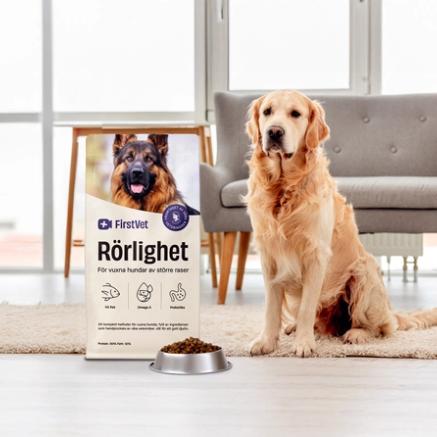 En golden retriever bredvid en påse av hundmaten "Rörlighet" från FirstVet