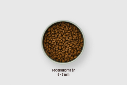 Matskål med kattfoder. Foderkulorna är 6-7 mm stora.