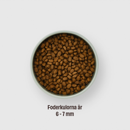 Matskål med kattfoder. Foderkulorna är 6-7 mm stora.